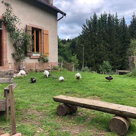 A L'Oree De Soi - Maison Forestiere De La Soie - Eco Gite, Chambres D'Hotes, Camping Au Pied Des Vosges Saint-Sauveur  المظهر الخارجي الصورة