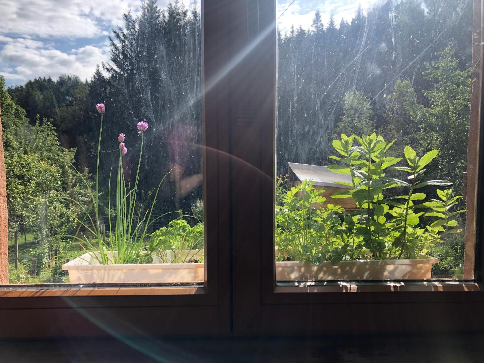A L'Oree De Soi - Maison Forestiere De La Soie - Eco Gite, Chambres D'Hotes, Camping Au Pied Des Vosges Saint-Sauveur  المظهر الخارجي الصورة