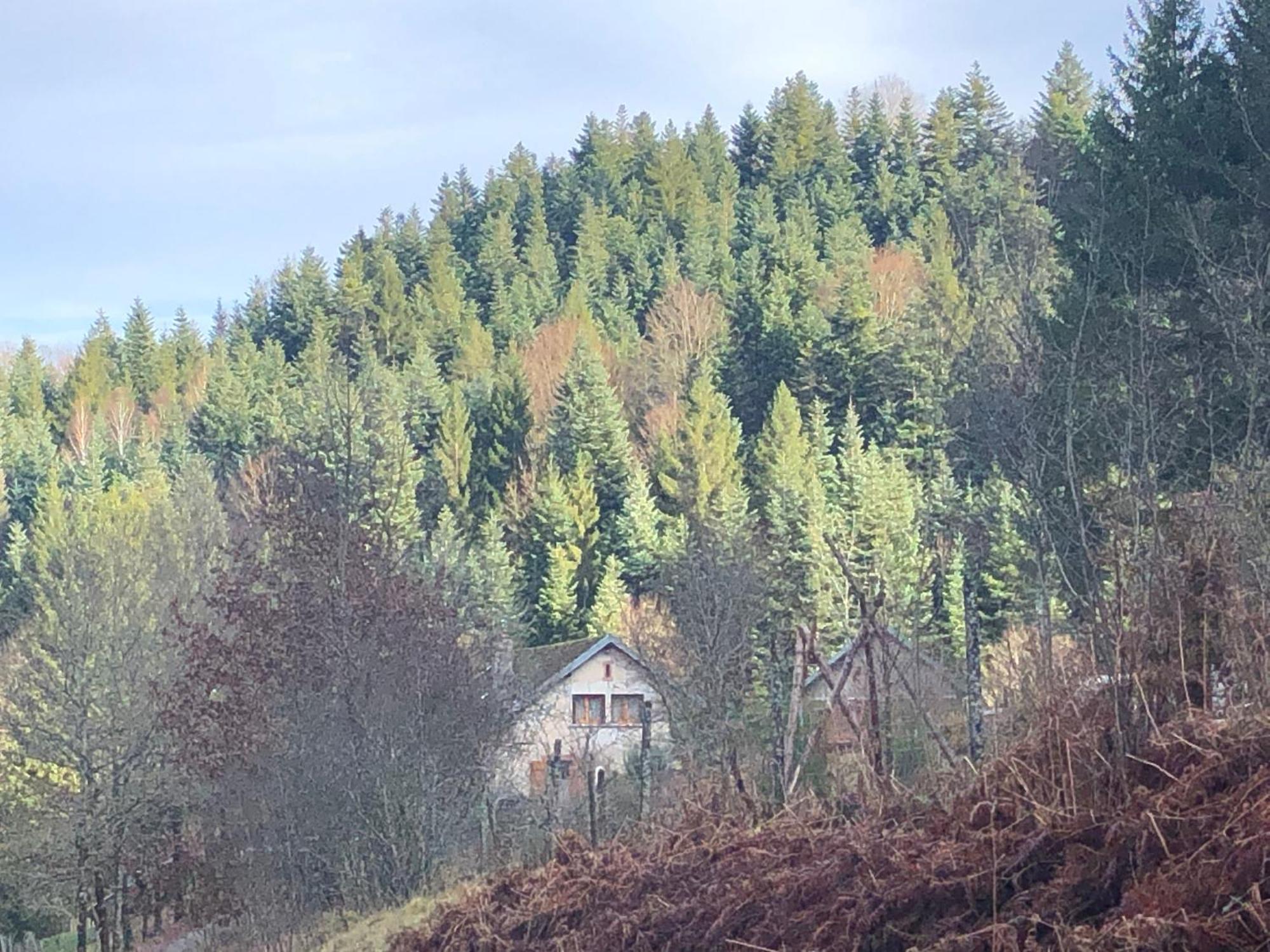 A L'Oree De Soi - Maison Forestiere De La Soie - Eco Gite, Chambres D'Hotes, Camping Au Pied Des Vosges Saint-Sauveur  المظهر الخارجي الصورة
