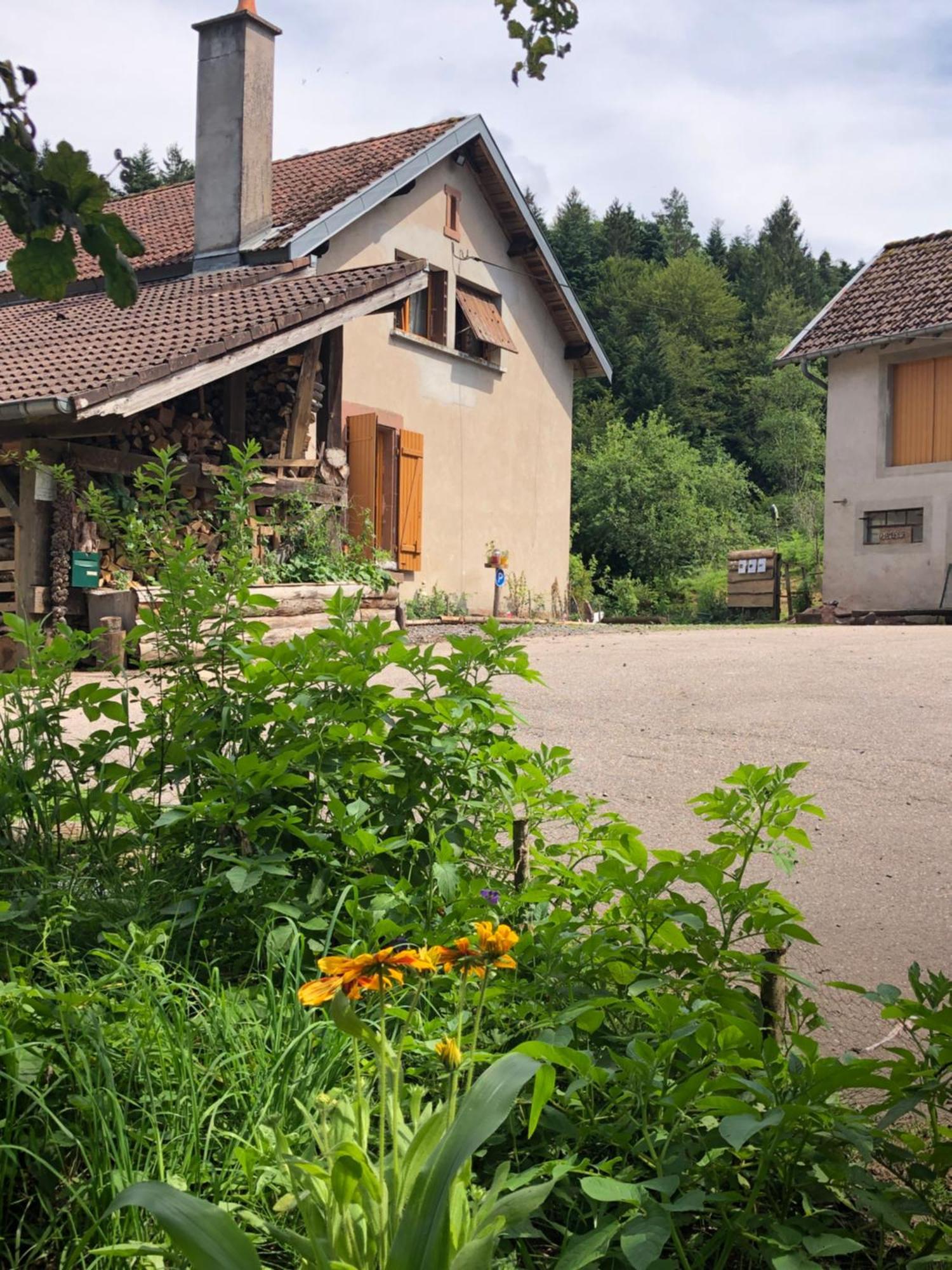 A L'Oree De Soi - Maison Forestiere De La Soie - Eco Gite, Chambres D'Hotes, Camping Au Pied Des Vosges Saint-Sauveur  المظهر الخارجي الصورة