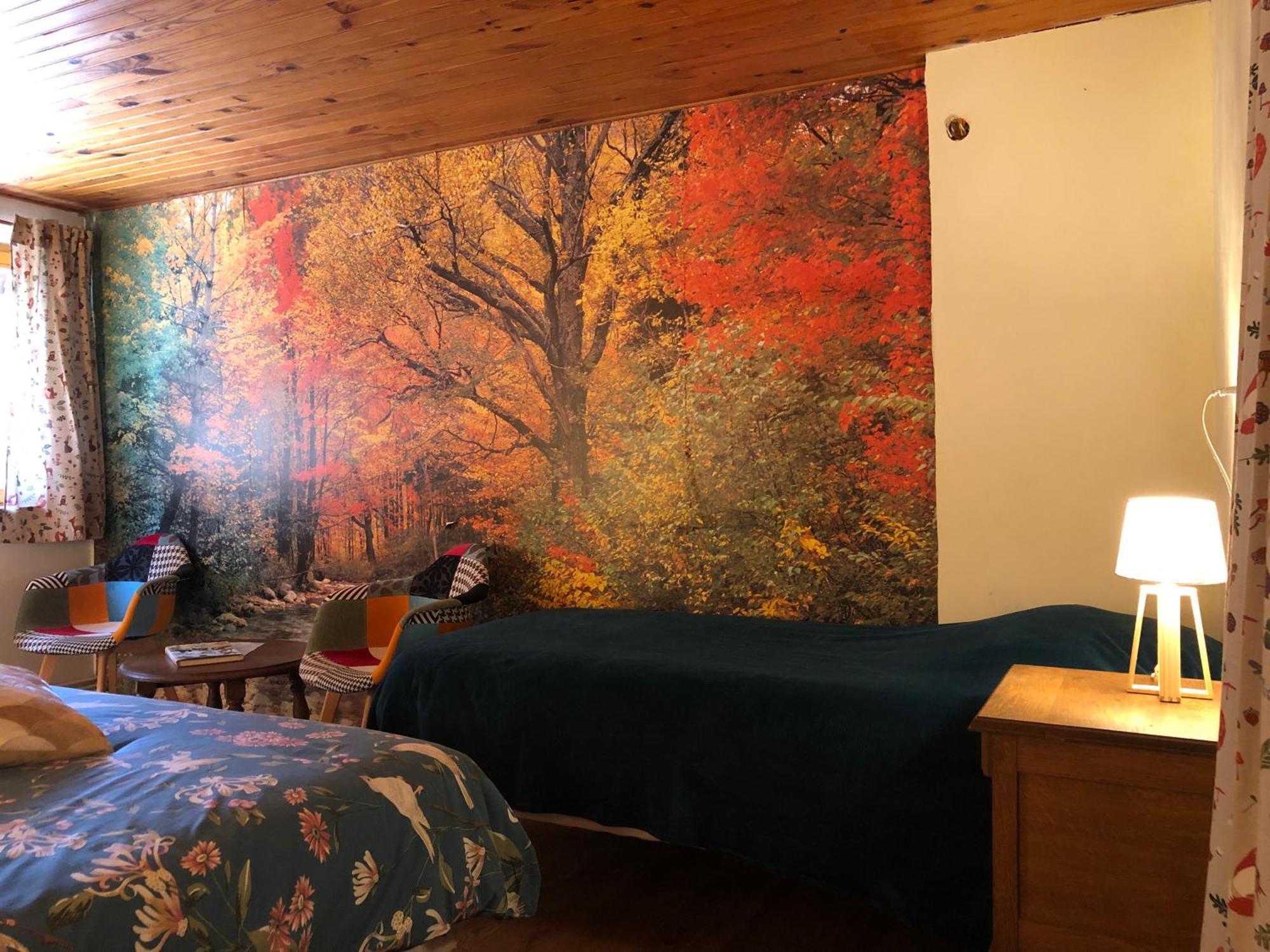 A L'Oree De Soi - Maison Forestiere De La Soie - Eco Gite, Chambres D'Hotes, Camping Au Pied Des Vosges Saint-Sauveur  المظهر الخارجي الصورة